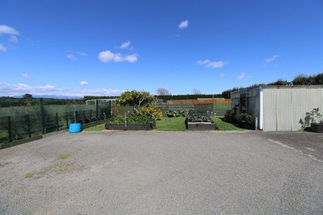 Photo of property in 212 Motuiti Road, Foxton, 4891