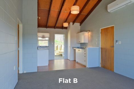 Photo of property in 545 South Road, Calton Hill, Dunedin, 9012