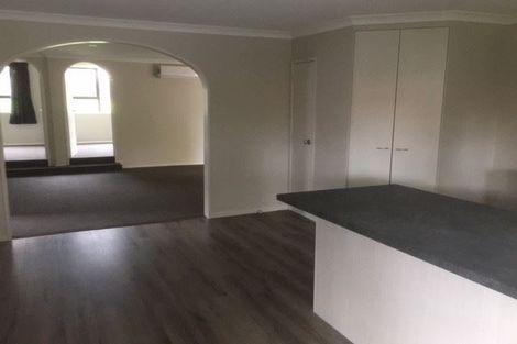 Photo of property in 99 Naylor Street, Hamilton East, Hamilton, 3216