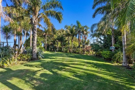 Photo of property in 304 Tablelands Road, Tirohanga, Opotiki, 3197