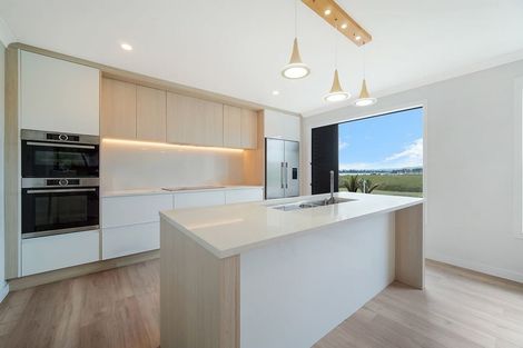 Photo of property in 9 Brickworks Bay Road, Hobsonville, Auckland, 0618