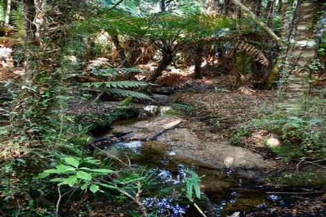 Photo of property in 70 Sunset Heights Road, Karamea, 7893