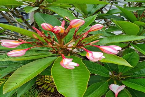 Photo of property in 656 One Tree Point Road, Ruakaka, Whangarei, 0171