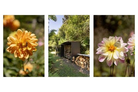 Photo of property in 34 Pengary Lane, Pyes Pa, Tauranga, 3112