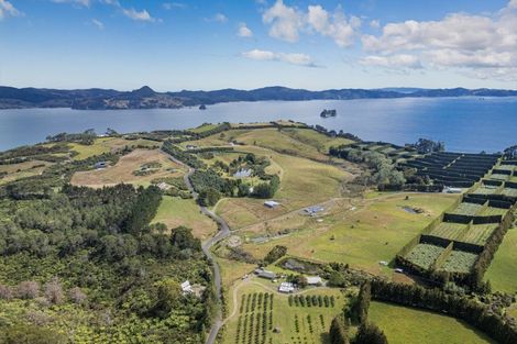 Photo of property in 396 Lees Road, Hahei, Whitianga, 3591