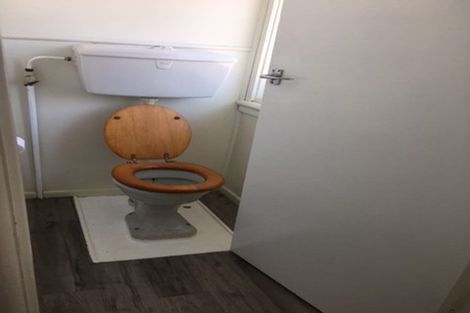 Photo of property in 119a Queens Avenue, Frankton, Hamilton, 3204