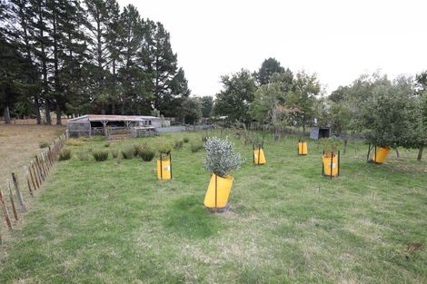 Photo of property in 45 Mill Street, Marton, 4710