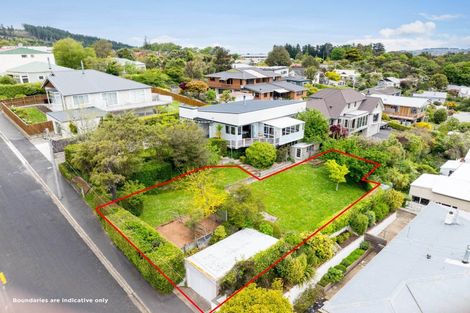 Photo of property in 8a Windsor Street, Opoho, Dunedin, 9010