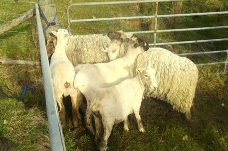 Photo of property in 1665 Matapouri Road, Matapouri, Whangarei, 0173