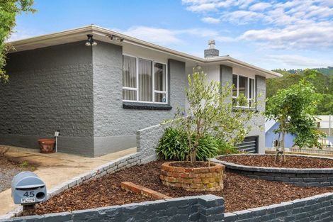 Photo of property in 45 Bryant Street, Kenmure, Dunedin, 9011