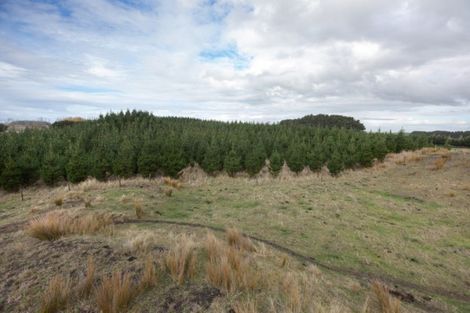 Photo of property in 547 Raumai Road, Bulls, 4894