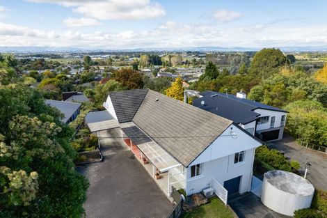 Photo of property in 19 Windsor Terrace, Feilding, 4702