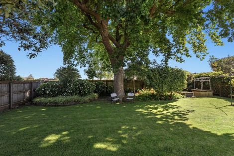 Photo of property in 14 Barry Avenue, Whakatane, 3120