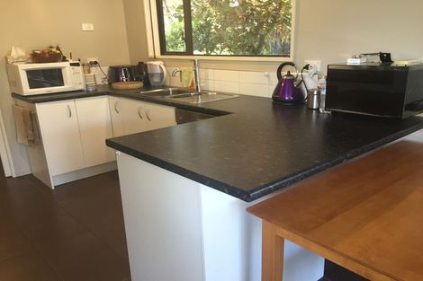 Photo of property in 117a Packe Street, Edgeware, Christchurch, 8013