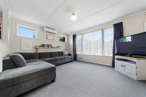 Photo of property in 19 Salisbury Avenue, Terrace End, Palmerston North, 4410