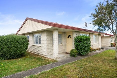 Photo of property in 65 Winchester Street, Levin, 5510