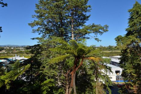 Photo of property in 45 Collingwood Street, Judea, Tauranga, 3110