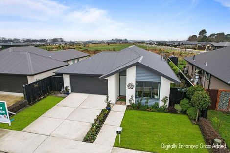 Photo of property in 6 Clegg Street, Woodend, 7610