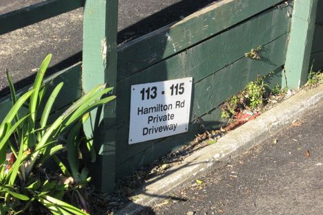 Photo of property in 115 Hamilton Road, Hataitai, Wellington, 6021