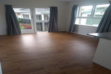 Photo of property in 13 Hobson Street, Maeroa, Hamilton, 3200