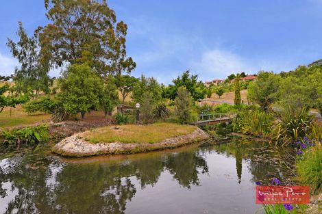 Photo of property in 42 Brooks View Heights, Tasman, Upper Moutere, 7173