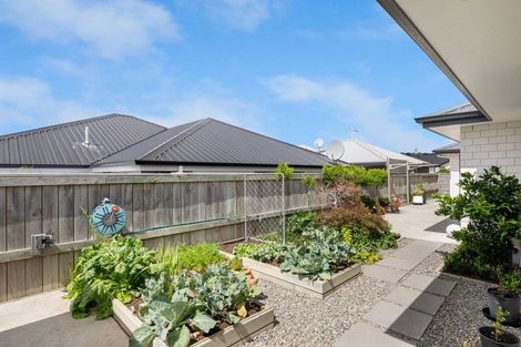 Photo of property in 4 Mustang Alley, Burleigh, Blenheim, 7201