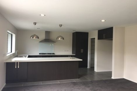 Photo of property in 29 Ladeira Place, Fitzroy, Hamilton, 3206