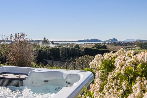 Photo of property in 252 Tuapiro Road, Tahawai, Katikati, 3170