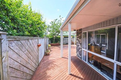Photo of property in 26a Windsor Street, Terrace End, Palmerston North, 4410