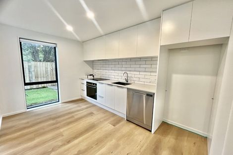 Photo of property in 3/9 Chatham Street, Addington, Christchurch, 8024