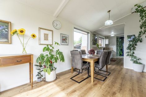 Photo of property in 12 Hillview Place, Pleasant Point, 7903