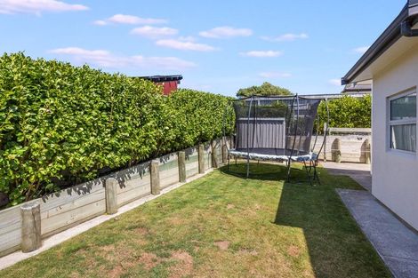 Photo of property in 17 John Burke Drive, Aotea, Porirua, 5024