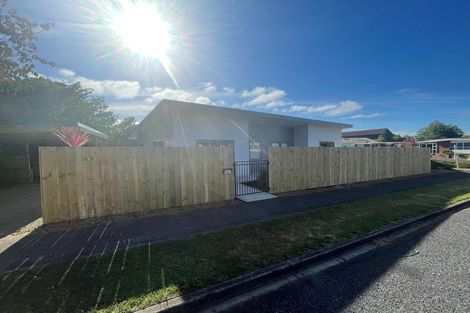 Photo of property in 17 Brown Street, Inglewood, 4330