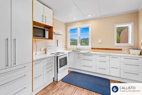 Photo of property in 213 Signal Hill Road, Opoho, Dunedin, 9010