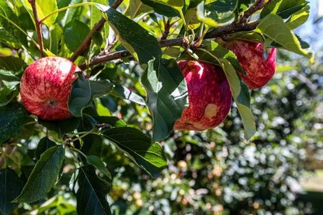 Photo of property in 9a Karina Road, Merrilands, New Plymouth, 4312