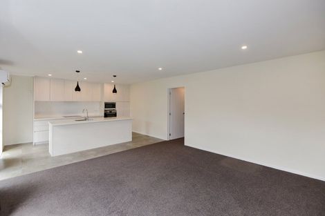 Photo of property in 51b Grafton Street, Waltham, Christchurch, 8011