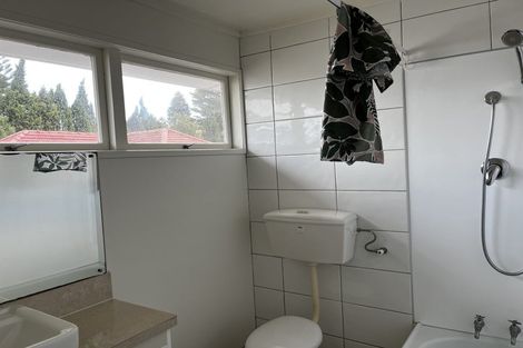 Photo of property in 52 Buscomb Avenue, Henderson, Auckland, 0610