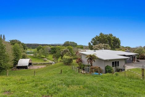 Photo of property in 133 Hogg Road, Rotoma, Whakatane, 3192