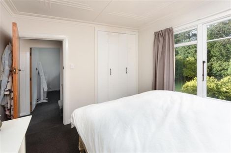 Photo of property in 236 Highcliff Road, Shiel Hill, Dunedin, 9013