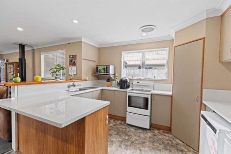 Photo of property in 105 Oxford Street, Ashhurst, 4810