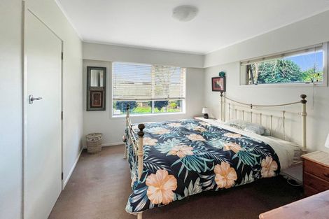 Photo of property in 62 Firth Street, Hamilton East, Hamilton, 3216