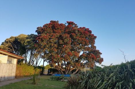 Photo of property in 279b Hillsborough Road, Hillsborough, Auckland, 1042