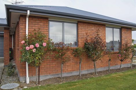 Photo of property in 44 Stirling Street, Windsor, Invercargill, 9810