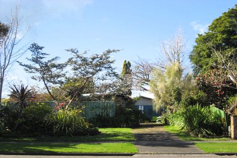 Photo of property in 15 Macarthur Street, Levin, 5510