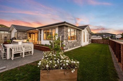 Photo of property in 89 John Burke Drive, Aotea, Porirua, 5024