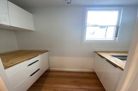 Photo of property in 117 Mein Street, Newtown, Wellington, 6021