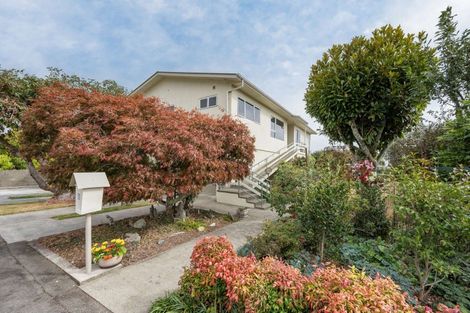 Photo of property in 22 Hebberd Place, Richmond, 7020