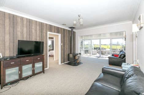 Photo of property in 570 Tauranga Road, Te Poi, Matamata, 3473