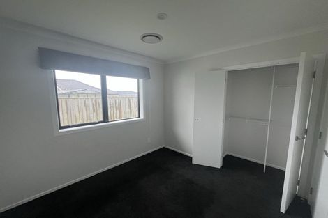 Photo of property in 68 Hinemoa Street, Levin, 5510