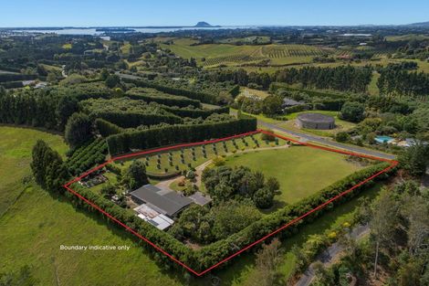 Photo of property in 84 Plummer Road, Whakamarama, Tauranga, 3179